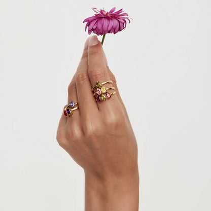 Anillo de nacimiento de marquesa