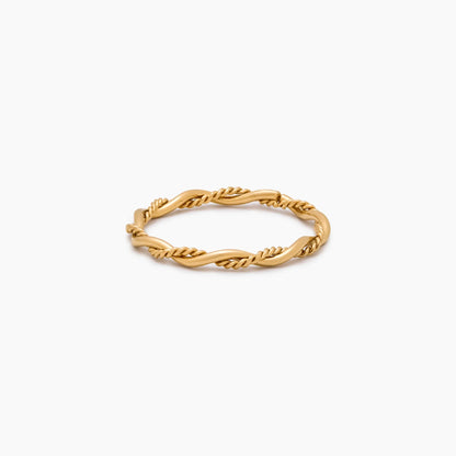 Anillo Delicado Doble Giro