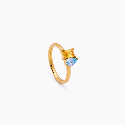 Anillo de nacimiento doble